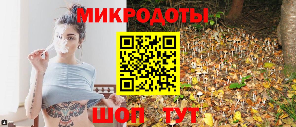 Псилоцибиновые грибы Psilocybe  закладка  Советск  Вход с VPN 